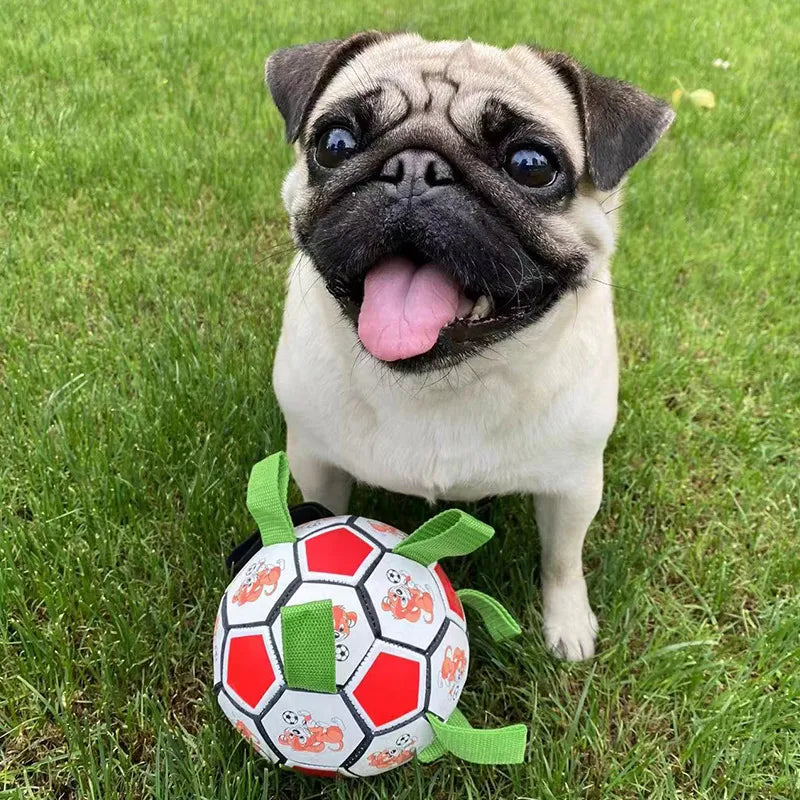 Dog Football Molar Bite-Resistant Toy