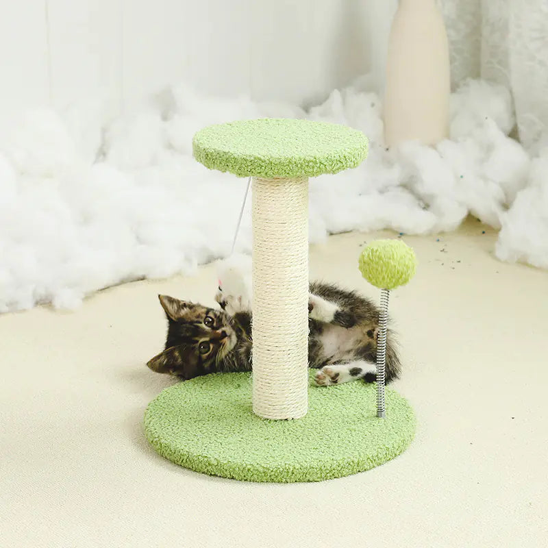 Durable Small Cat Climbing Frame and Scratching Post