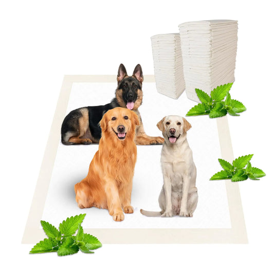 Boscute Minty Scented Puppy Pads