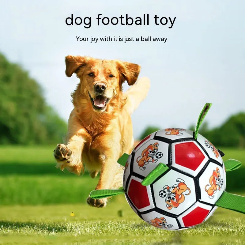 Dog Football Molar Bite-Resistant Toy