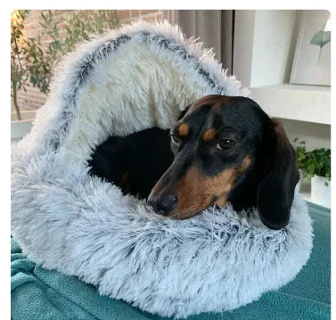 2-in1 Pet Bed