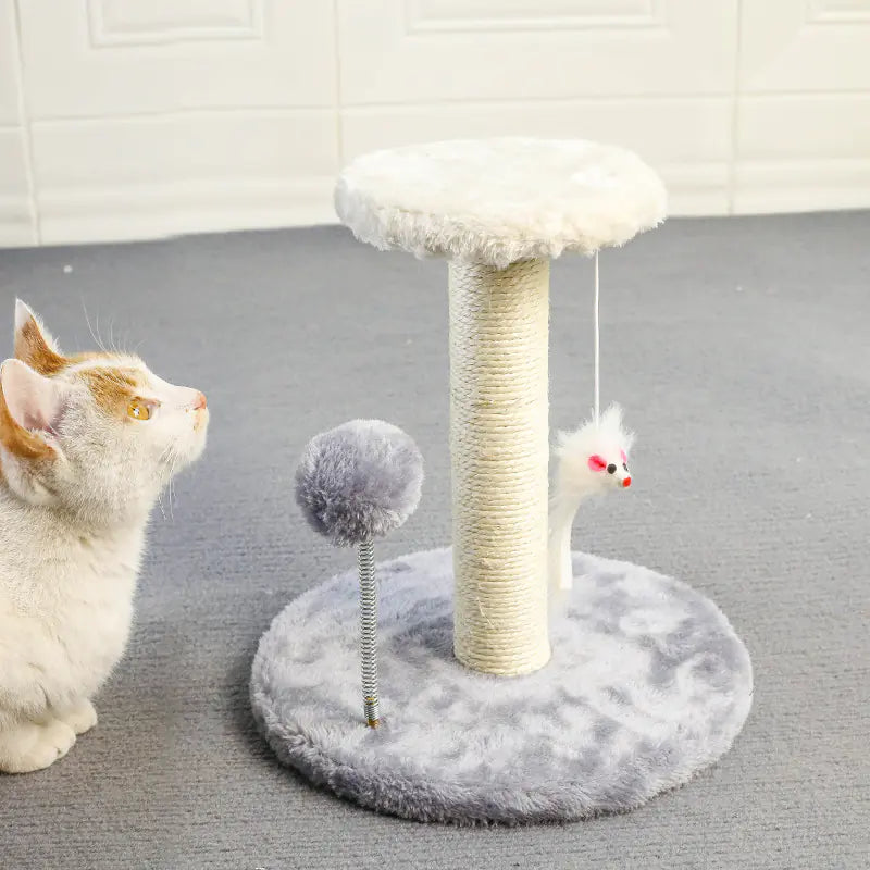 Durable Small Cat Climbing Frame and Scratching Post