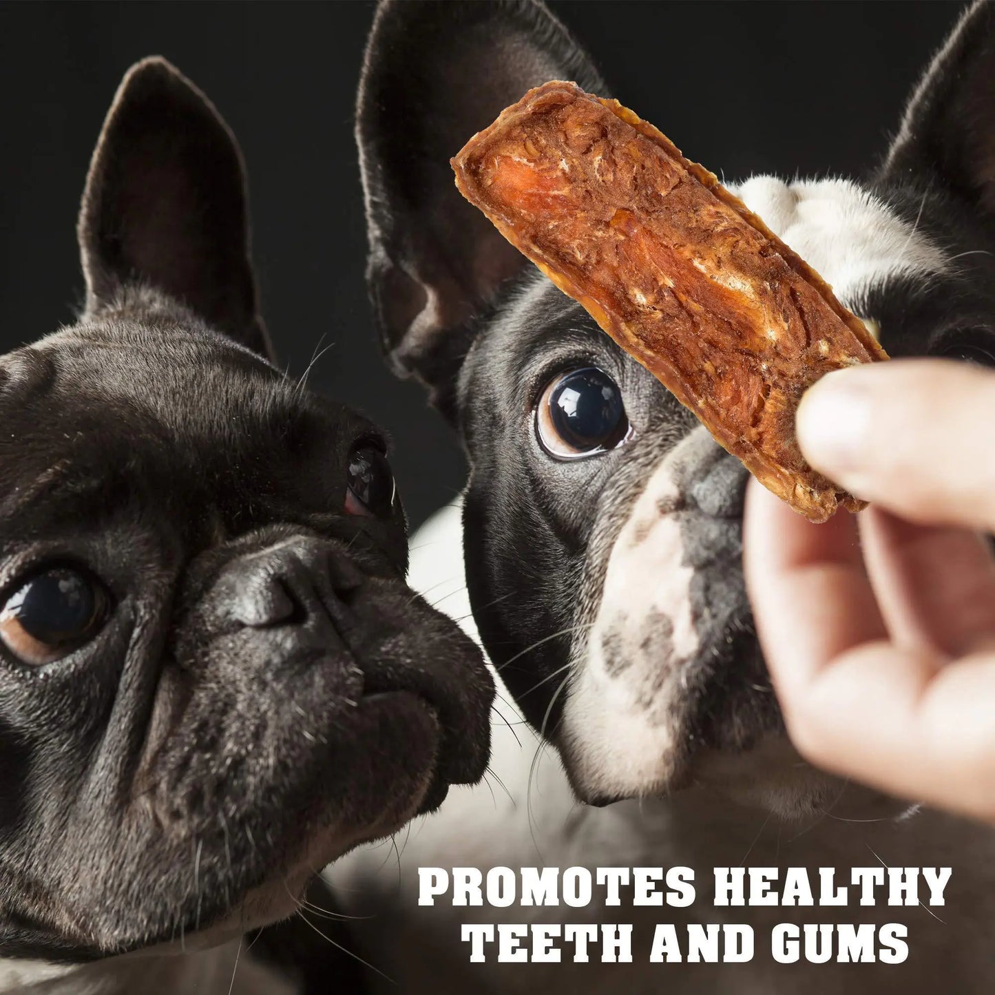 Chicken Jerky Dog Treats – 1.5 lb