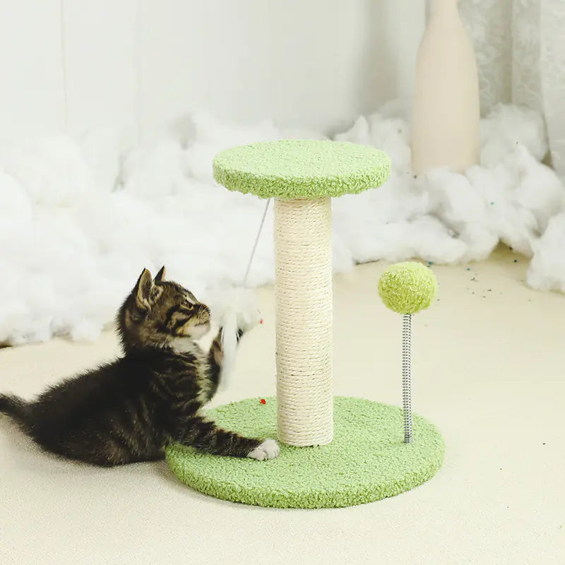Durable Small Cat Climbing Frame and Scratching Post