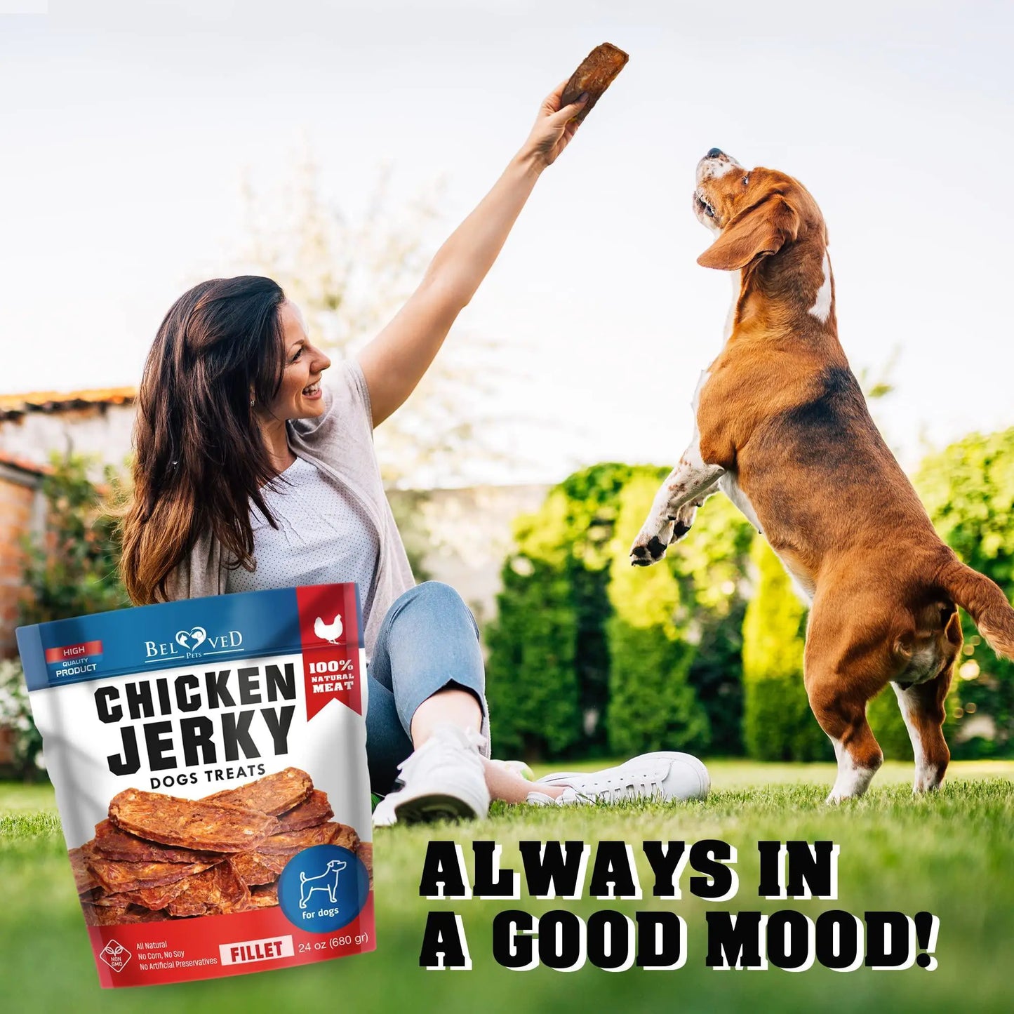 Chicken Jerky Dog Treats – 1.5 lb